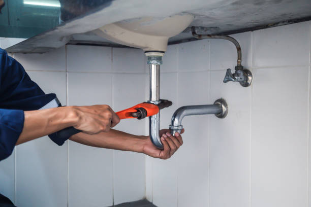 Best Clogged Drain Plumber  in Palm Valley, FL