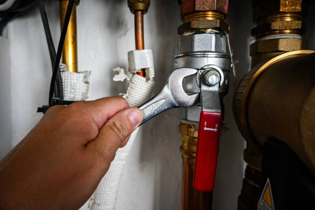 Best Water Softener Installation  in Palm Valley, FL